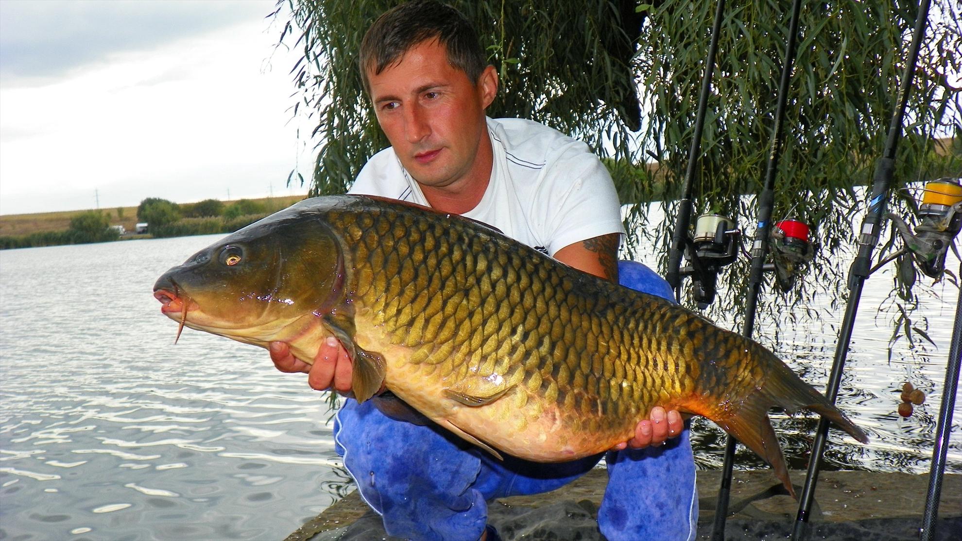 Boiliesmania - 2011 - 1000258-2.JPG